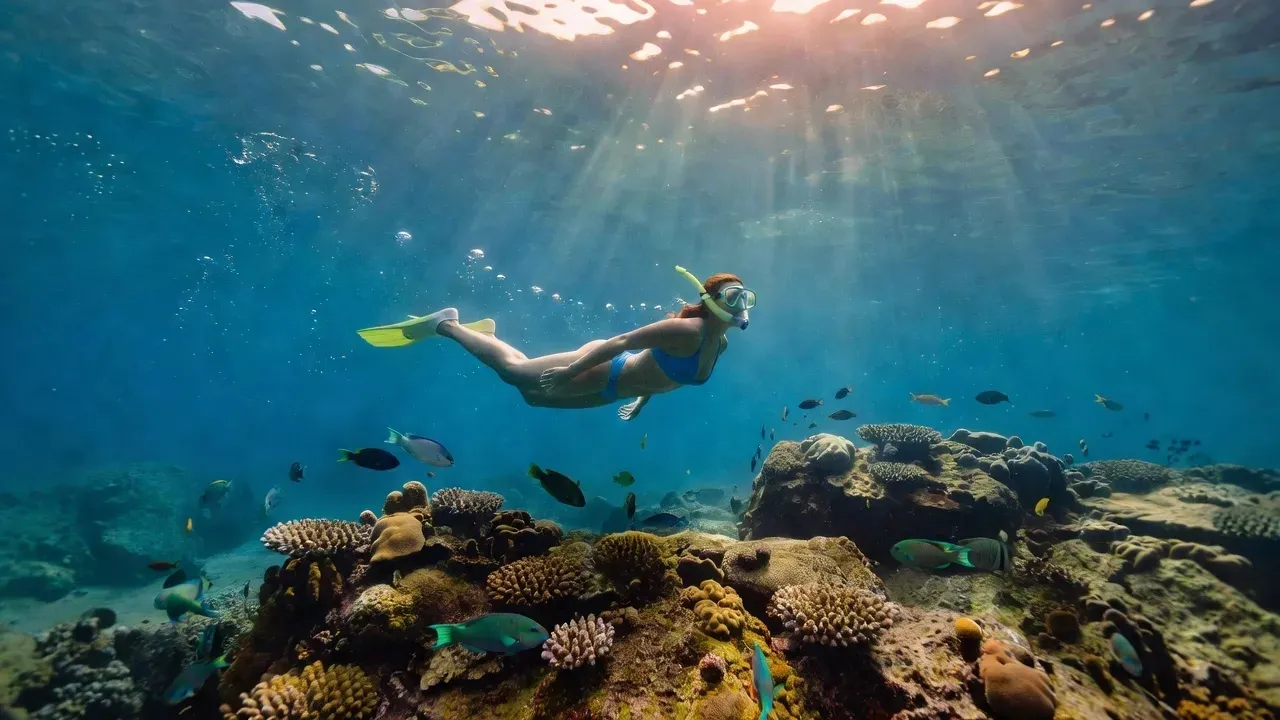 Snorkeler gliding above a coral reef in the clear warm Pacific water around Manuel Antonio — the same conditions found inside Biesanz Beach cove