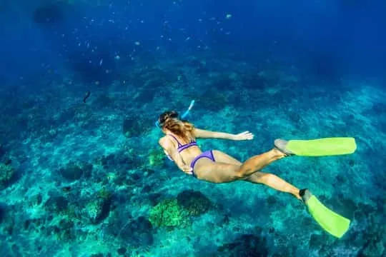 Snorkelers exploring vibrant coral reef and tropical fish in the crystal-clear waters of Manuel Antonio snorkeling tour Costa Rica
